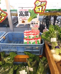 きん彩様店舗高菜漬の素　DSC_1354-2.JPG